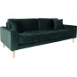 Canapé 3 places en tissu velours de qualité LISA VELOURS coloris vert foncé Canapé 3 places en tissu velours de qualité LISA VELOURS coloris vert foncé