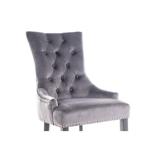 Lot de 2 chaises EDWIN tissu velours de qualité, couleur gris