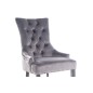 Lot de 2 chaises EDWIN tissu velours de qualité, couleur gris