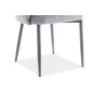 Lot de 2 chaises ASTEN en tissu velours de qualité, couleur gris Lot de 2 chaises ASTEN en tissu velours de qualité, couleur gris