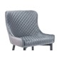 Lot de 2 chaises COLB en tissu velours de qualité, couleur gris Lot de 2 chaises COLB en tissu velours de qualité, couleur gris