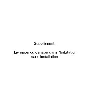 Supplément : livraison du canapé dans l'habitation sans installation.