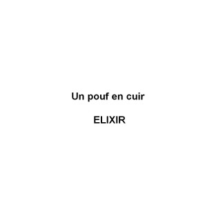 Un pouf en cuir italien ELIXIR