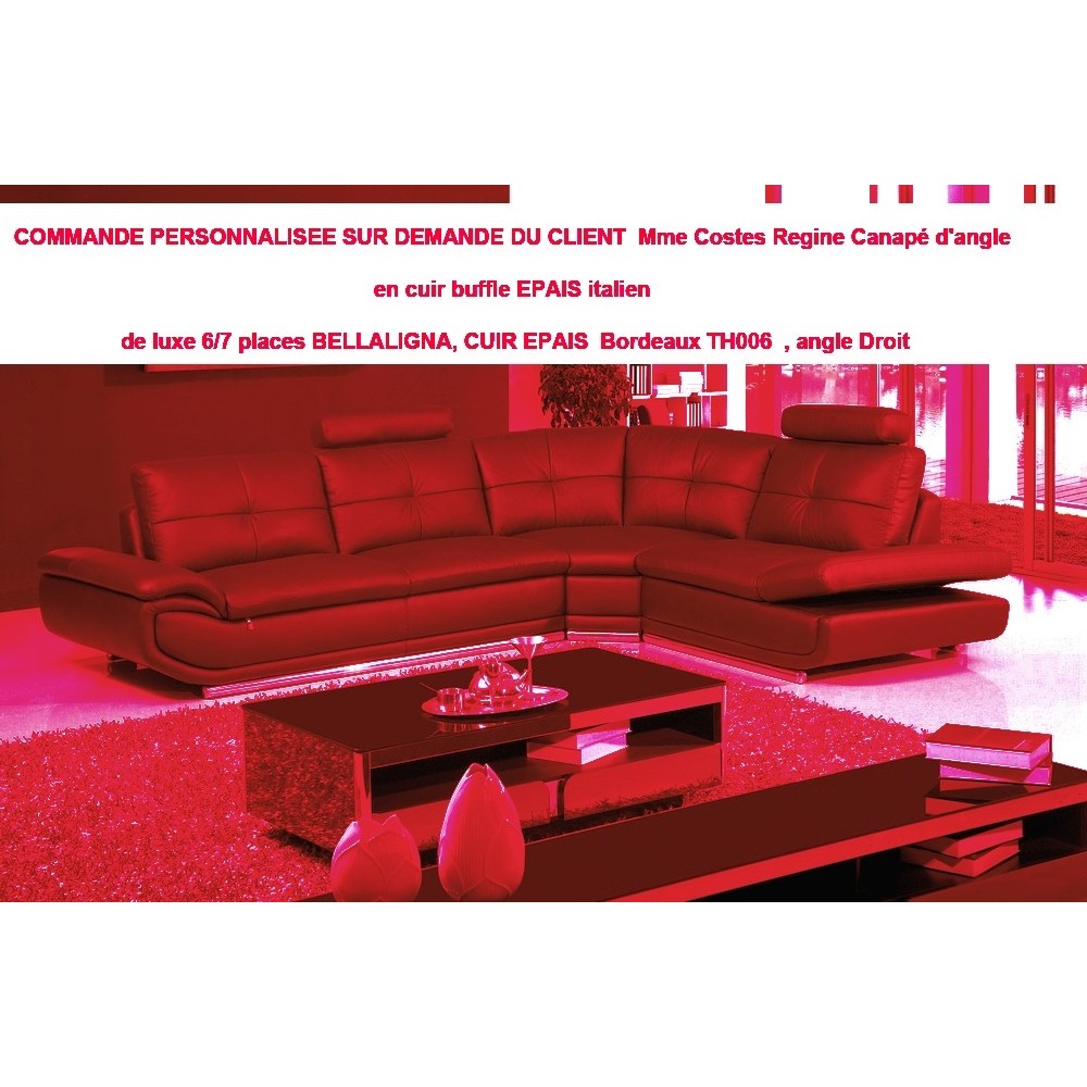 COMMANDE PERSONNALISEE SUR DEMANDE DU CLIENT Mme Costes Regine Canapé d'angle en cuir buffle EPAIS italien de luxe 6/7 places BE COMMANDE PERSONNALISEE SUR DEMANDE DU CLIENT Mme Costes Regine Canapé d'angle en cuir buffle EPAIS italien de luxe 6/7 places BE