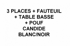 2eme paiement ensemble canapé 3 places + fauteuil 1 place cuir italien vachette candide blanc et noir, table basse candide et pouf candide, total commande 2565 euros, acompte à la commande 1500 €