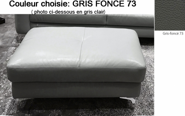 pouf en cuir de buffle luxe annecy, choix de la couleur : gris foncé